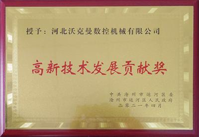 High-tech Development Contribution Award