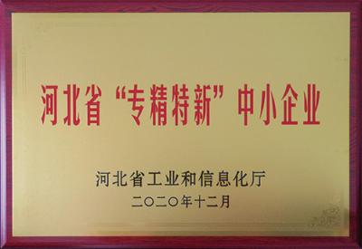 Specialized, specialized and innovative small and medium-sized enterprises